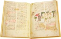 The Book of Punishment and Documents of King Sancho IV the Brave – Club Bibliófilo Versol – Ms 3995 (Vitr. 17.8) – Biblioteca Nacional de España (Madrid, Spain)