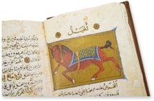 The Book of the Usefulness of Animals – AyN Ediciones – ms. árabe 898 – Real Biblioteca del Monasterio de San Lorenzo de El Escorial (San Lorenzo de El Escorial, Spain)