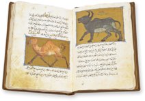 The Book of the Usefulness of Animals – AyN Ediciones – ms. árabe 898 – Real Biblioteca del Monasterio de San Lorenzo de El Escorial (San Lorenzo de El Escorial, Spain)
