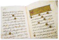 The Book of the Usefulness of Animals – AyN Ediciones – ms. árabe 898 – Real Biblioteca del Monasterio de San Lorenzo de El Escorial (San Lorenzo de El Escorial, Spain)