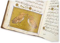 The Book of the Usefulness of Animals – AyN Ediciones – ms. árabe 898 – Real Biblioteca del Monasterio de San Lorenzo de El Escorial (San Lorenzo de El Escorial, Spain)