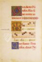 The Courtly Duet – Belser Verlag – Cod. Borg. Lat. 420 / Cod. Pal. Lat. 961 – Biblioteca Apostolica Vaticana (Vatican City, Vatican City State)