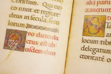 The Courtly Duet – Belser Verlag – Cod. Borg. Lat. 420 / Cod. Pal. Lat. 961 – Biblioteca Apostolica Vaticana (Vatican City, Vatican City State)