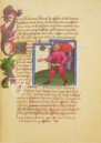 The Courtly Duet – Belser Verlag – Cod. Borg. Lat. 420 / Cod. Pal. Lat. 961 – Biblioteca Apostolica Vaticana (Vatican City, Vatican City State)