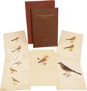 The Great Bird Book of Olof Rudbeck the Younger – Universitetsbibliotek Uppsala (Uppsala, Sweden) Facsimile Edition