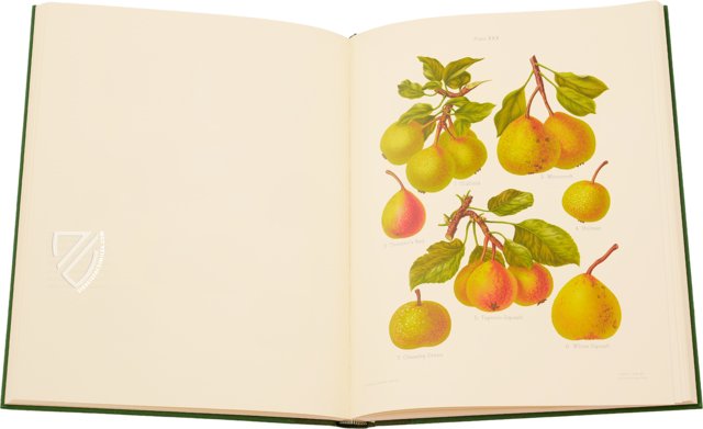 The Herefordshire Pomona Containing Coloured Figures and Descriptions of the most Esteemed Kinds of Apples And Pears Facsimile Edition