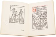 The Parisian Household Book – Chavane Verlag – 