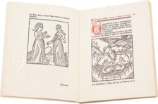 The Parisian Household Book – Chavane Verlag – 