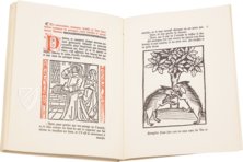 The Parisian Household Book – Chavane Verlag – 