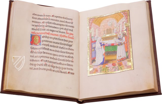 The Prince-Bishop Evangeliary – Imago – Acquisti e doni 156 – Biblioteca Medicea Laurenziana (Florence, Italy)