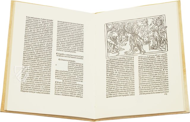 The Twelve Labors of Hercules – Vicent Garcia Editores – Inc. 2441 – Biblioteca Nacional de España (Madrid, Spain)