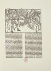 The Twelve Labors of Hercules – Vicent Garcia Editores – Inc. 2441 – Biblioteca Nacional de España (Madrid, Spain)