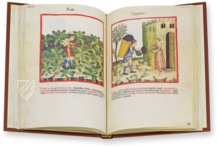 Theatrum Sanitatis – M. Moleiro Editor – Ms. 4182 – Biblioteca Casanatense (Rome, Italy)