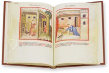 Theatrum Sanitatis – M. Moleiro Editor – Ms. 4182 – Biblioteca Casanatense (Rome, Italy)