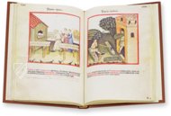 Theatrum Sanitatis – M. Moleiro Editor – Ms. 4182 – Biblioteca Casanatense (Rome, Italy)