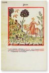 Theatrum Sanitatis – Ms. 4182 – Biblioteca Casanatense (Rome, Italy) Facsimile Edition