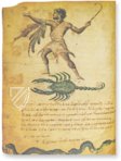 Theriaka and Alexipharmaka by Nicander – M. Moleiro Editor – Supplément grec 247 – Bibliothèque nationale de France (Paris, France)