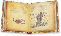 Theriaka and Alexipharmaka by Nicander – M. Moleiro Editor – Supplément grec 247 – Bibliothèque nationale de France (Paris, France)