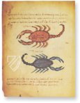 Theriaka and Alexipharmaka by Nicander – M. Moleiro Editor – Supplément grec 247 – Bibliothèque nationale de France (Paris, France)