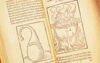 Thesaurus de Remediis Secretis  – Circulo Cientifico – 11-VI-28 – Real Biblioteca del Monasterio de San Lorenzo de El Escorial (San Lorenzo de El Escorial, Spain)