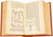 Thesaurus de Remediis Secretis  – Circulo Cientifico – 11-VI-28 – Real Biblioteca del Monasterio de San Lorenzo de El Escorial (San Lorenzo de El Escorial, Spain)