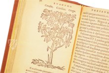 Thesaurus de Remediis Secretis  – Circulo Cientifico – 11-VI-28 – Real Biblioteca del Monasterio de San Lorenzo de El Escorial (San Lorenzo de El Escorial, Spain)