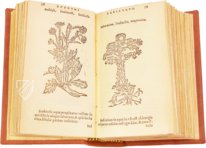 Thesaurus de Remediis Secretis  – Circulo Cientifico – Real Biblioteca del Monasterio (San Lorenzo de El Escorial, Spain)