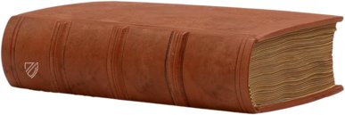 Thesaurus de Remediis Secretis - Pars Secunda – Circulo Cientifico – Biblioteca de la Academia de Farmacia de Castilla y León