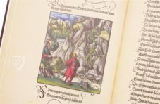 Theuerdank - Munich Codex – Taschen – Rar. 325 a – Bayerische Staatsbibliothek (Munich, Germany)