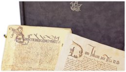 Tordesillas Treaties – Testimonio Compañía Editorial – Gaveta 17, mç2, doc. 24|Patronato, 1, N.6, R.2 – Arquivo Nacional da Torre do Tombo (Lisbon, Portugal)