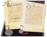 Tordesillas Treaties – Testimonio Compañía Editorial – Gaveta 17, mç2, doc. 24|Patronato, 1, N.6, R.2 – Arquivo Nacional da Torre do Tombo (Lisbon, Portugal)