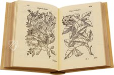 Tractado de las Drogas, y Medicinas de las Indias Orientales… – Vicent Garcia Editores – E/268 – Biblioteca Histórico Médica de la Universidad de València (Valencia, Spain)