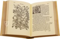 Tractado de las Drogas, y Medicinas de las Indias Orientales… – Vicent Garcia Editores – E/268 – Biblioteca Histórico Médica de la Universidad de València (Valencia, Spain)