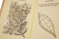 Tractado de las Drogas, y Medicinas de las Indias Orientales… – Vicent Garcia Editores – E/268 – Biblioteca Histórico Médica de la Universidad de València (Valencia, Spain)