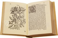 Tractado de las Drogas, y Medicinas de las Indias Orientales… – Vicent Garcia Editores – E/268 – Biblioteca Historicomèdica de la Universitat de València (Valencia, Spain) Tractado de las Drogas, y Medicinas de las Indias Orientales… – Vicent Garcia Editores – E/268 – Biblioteca Historicomèdica de la Universitat de València (Valencia, Spain)