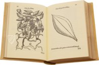Tractado de las Drogas, y Medicinas de las Indias Orientales… – Vicent Garcia Editores – E/268 – Biblioteca Historicomèdica de la Universitat de València (Valencia, Spain) Tractado de las Drogas, y Medicinas de las Indias Orientales… – Vicent Garcia Editores – E/268 – Biblioteca Historicomèdica de la Universitat de València (Valencia, Spain)