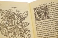 Tractado de las Drogas, y Medicinas de las Indias Orientales… – Vicent Garcia Editores – E/268 – Biblioteca Historicomèdica de la Universitat de València (Valencia, Spain) Tractado de las Drogas, y Medicinas de las Indias Orientales… – Vicent Garcia Editores – E/268 – Biblioteca Historicomèdica de la Universitat de València (Valencia, Spain)