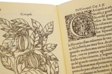 Tractado de las Drogas, y Medicinas de las Indias Orientales… – Vicent Garcia Editores – E/268 – Biblioteca Historicomèdica de la Universitat de València (Valencia, Spain) Tractado de las Drogas, y Medicinas de las Indias Orientales… – Vicent Garcia Editores – E/268 – Biblioteca Historicomèdica de la Universitat de València (Valencia, Spain)