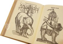 Tractado de las Drogas, y Medicinas de las Indias Orientales… – Vicent Garcia Editores – E/268 – Biblioteca Historicomèdica de la Universitat de València (Valencia, Spain) Tractado de las Drogas, y Medicinas de las Indias Orientales… – Vicent Garcia Editores – E/268 – Biblioteca Historicomèdica de la Universitat de València (Valencia, Spain)