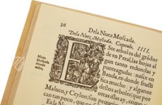 Tractado de las Drogas, y Medicinas de las Indias Orientales… – Vicent Garcia Editores – E/268 – Biblioteca Historicomèdica de la Universitat de València (Valencia, Spain) Tractado de las Drogas, y Medicinas de las Indias Orientales… – Vicent Garcia Editores – E/268 – Biblioteca Historicomèdica de la Universitat de València (Valencia, Spain)