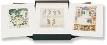 Treasures from the Biblioteca Apostolica Vaticana – Litterae – Faksimile Verlag – Cod. Vat. lat. 3225|Cod. Vat. lat. 3867|Cod. Pal.lat.1564|Cod. Vat. lat. 3868|Cod. Pal. Lat. 1071|Cod. Urb. lat. 365|Cod. Reg. Lat. 1896|Cod. Urb. lat. 276|Cod. Pal. L