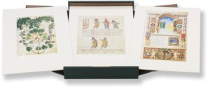 Treasures from the Biblioteca Apostolica Vaticana – Litterae – Faksimile Verlag – Cod. Vat. lat. 3225|Cod. Vat. lat. 3867|Cod. Pal.lat.1564|Cod. Vat. lat. 3868|Cod. Pal. Lat. 1071|Cod. Urb. lat. 365|Cod. Reg. Lat. 1896|Cod. Urb. lat. 276|Cod. Pal. L