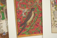 Treasures of Book Illumination - On Love and Friendship – Belser Verlag – Biblioteca Apostolica Vaticana (Vatican City, Vatican City State) Treasures of Book Illumination - On Love and Friendship – Belser Verlag – Biblioteca Apostolica Vaticana (Vatican City, Vatican City State)