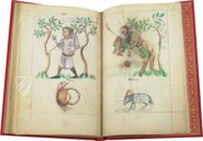 Treatise on Astrology by Albumazar – M. Moleiro Editor – Sloane 3983 – British Library (London, United Kingdom)