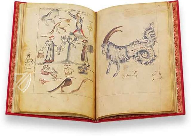 Treatise on Astrology by Albumazar - Ziereis Facsimiles