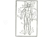 Treatise on Bloodletting – Vicent Garcia Editores – RES/ANAT. 297 – Bayerische Staatsbibliothek (Munich, Germany)