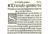 Treatise on Bloodletting – Vicent Garcia Editores – RES/ANAT. 297 – Bayerische Staatsbibliothek (Munich, Germany)