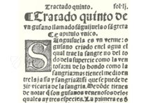 Treatise on Bloodletting – Vicent Garcia Editores – RES/ANAT. 297 – Bayerische Staatsbibliothek (Munich, Germany)