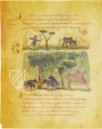 Treatise on Hunting and Fishing - Oppiano, Cynegetica – Cod. Gr.Z.479 (=881) – Biblioteca Nazionale Marciana (Venice, Italy) Facsimile Edition