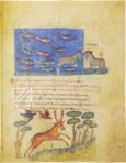 Treatise on Hunting and Fishing - Oppiano, Cynegetica – Patrimonio Ediciones – Cod. Gr. Z. 479 (=881) – Biblioteca Nazionale Marciana (Venice, Italy)